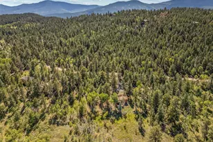 1889 Burland Dr, Bailey, CO 80421 - Photo 46