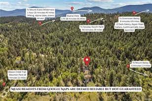 1889 Burland Dr, Bailey, CO 80421 - Photo 46