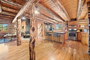 1889 Burland Dr, Bailey, CO 80421 - Photo 22