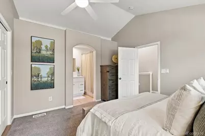 1332 Carlyle Park Circle, Highlands Ranch, CO 80129 - Photo 18