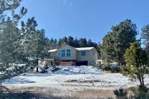 174 Chickadee Dr, Bailey, CO 80421 - Photo 14