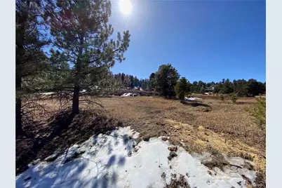 174 Chickadee Drive, Bailey, CO 80421 - Photo 16