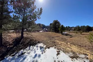 174 Chickadee Dr, Bailey, CO 80421 - Photo 16