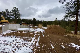 174 Chickadee Dr, Bailey, CO 80421 - Photo 22