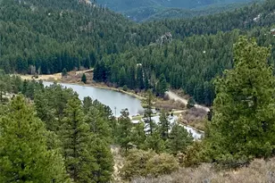 174 Chickadee Dr, Bailey, CO 80421 - Photo 20