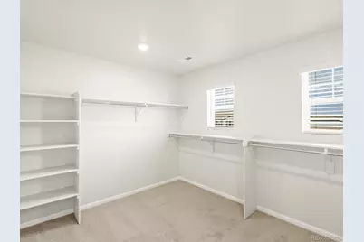 1628 Yampa River Drive, Windsor, CO 80550 - Photo 22