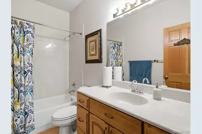 232 Highlands Drive, Bailey, CO 80421 - Photo 44