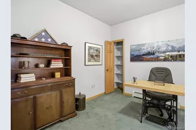 232 Highlands Drive, Bailey, CO 80421 - Photo 42