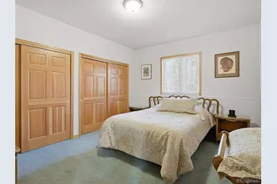 232 Highlands Drive, Bailey, CO 80421 - Photo 46