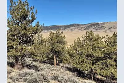 25 Redhill Court, Fairplay, CO 80440 - Photo 6