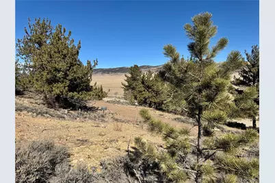 25 Redhill Court, Fairplay, CO 80440 - Photo 8