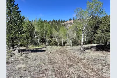 Dilley Road, Westcliffe, CO 81252 - Photo 16