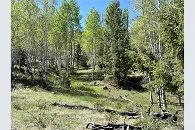 Dilley Road, Westcliffe, CO 81252 - Photo 14