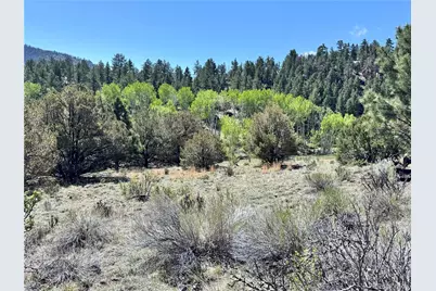 Dilley Road, Westcliffe, CO 81252 - Photo 4