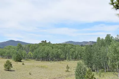 1651 Aspen Trail, Hartsel, CO 80449 - Photo 34