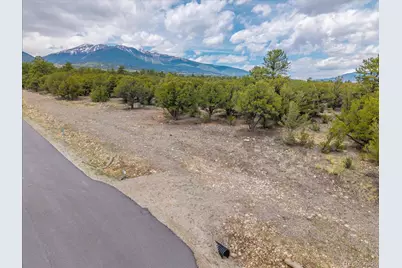 29269 Timber Ridge, Buena Vista, CO 81211 - Photo 6