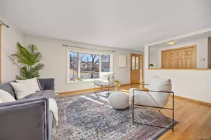 789 Mercury Cir, Lone Tree, CO 80124 - Photo 8