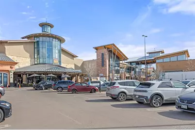 789 Mercury Circle, Lone Tree, CO 80124 - Photo 34