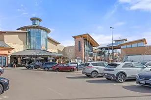 789 Mercury Cir, Lone Tree, CO 80124 - Photo 34