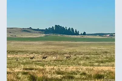 Craven Lot 1, Elbert, CO 80106 - Photo 2