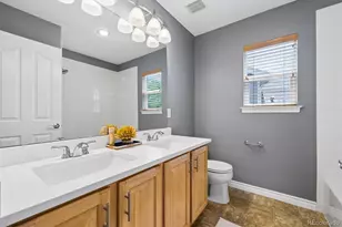 10978 Bluegate Way, Littleton, CO 80130 - Photo 42