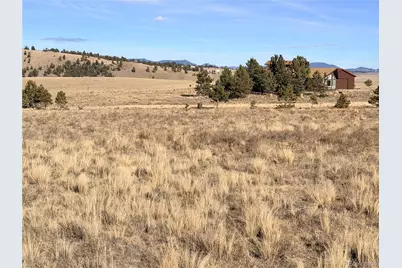 311 Harness Way, Hartsel, CO 80449 - Photo 10