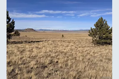 311 Harness Way, Hartsel, CO 80449 - Photo 6