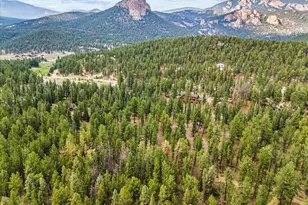 2185 Mt Evans Blvd, Pine, CO 80470 - Photo 36