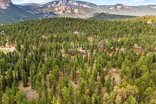 2185 Mt Evans Blvd, Pine, CO 80470 - Photo 34
