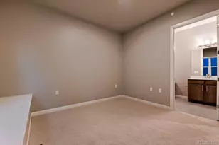 14123 Blue Stem St, Broomfield, CO 80020 - Photo 30