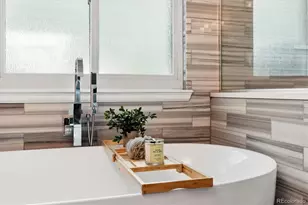 10824 Hickory Ridge Ln, Highlands Ranch, CO 80126 - Photo 16