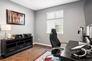 10824 Hickory Ridge Ln, Highlands Ranch, CO 80126 - Photo 8