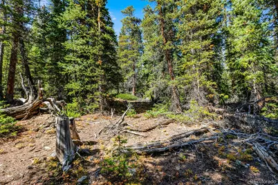 112 Sunshine Drive, Fairplay, CO 80440 - Photo 26