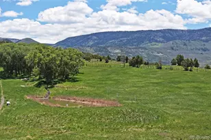 57191 Me Rd, Collbran, CO 81624 - Photo 38