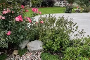 5900 Echo Hollow St, Castle Rock, CO 80104 - Photo 30