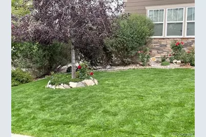 5900 Echo Hollow Street, Castle Rock, CO 80104 - Photo 34