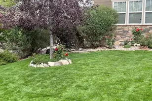 5900 Echo Hollow St, Castle Rock, CO 80104 - Photo 34