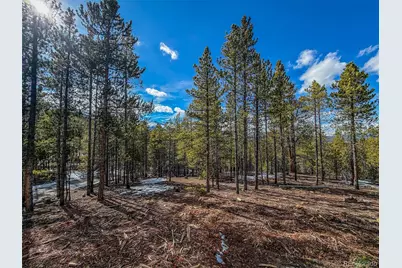 483 Mt Massive Road, Twin Lakes, CO 81251 - Photo 4