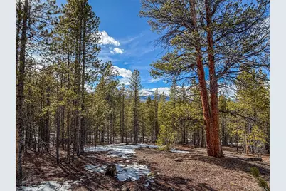 483 Mt Massive Road, Twin Lakes, CO 81251 - Photo 2