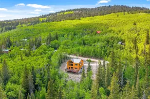 857 Quartzville Rd, Alma, CO 80440 - Photo 42