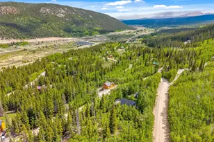 857 Quartzville Rd, Alma, CO 80440 - Photo 46