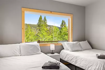 857 Quartzville Road, Alma, CO 80440 - Photo 32