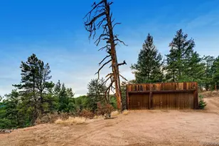 1150 Madge Gulch Rd, Sedalia, CO 80135 - Photo 38