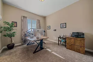 9826 Crimson Oak Ct, Parker, CO 80134 - Photo 34