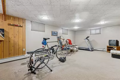 3253 S Columbine Street, Denver, CO 80210 - Photo 24