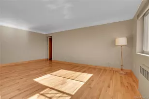 1175 N Emerson Street, Denver, CO 80218 - Photo 12