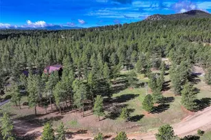 66 Territory Dr, Pine, CO 80470 - Photo 48