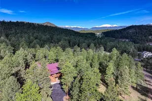 66 Territory Dr, Pine, CO 80470 - Photo 46