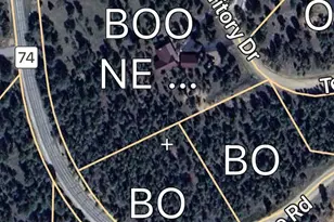 66 Territory Dr, Pine, CO 80470 - Photo 50