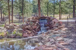 66 Territory Dr, Pine, CO 80470 - Photo 4